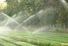 Coondoolandscaping-water-management-and-drainage-17.jpg; ?>