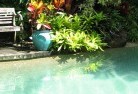 Coondooswimming-pool-landscaping-3.jpg; ?>